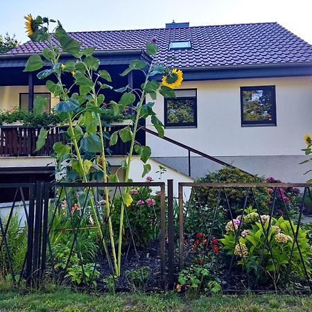 Waldhus Villa Uckeritz Kültér fotó