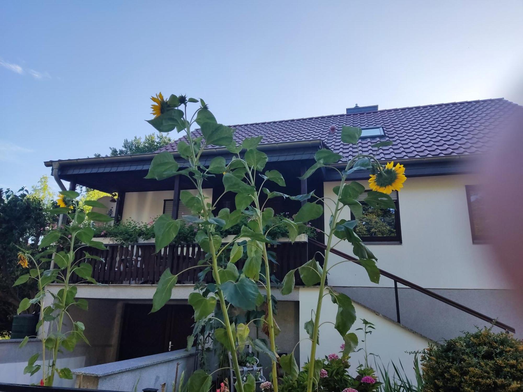 Waldhus Villa Uckeritz Szoba fotó